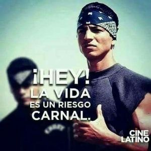 Meet your Posher, Freddy